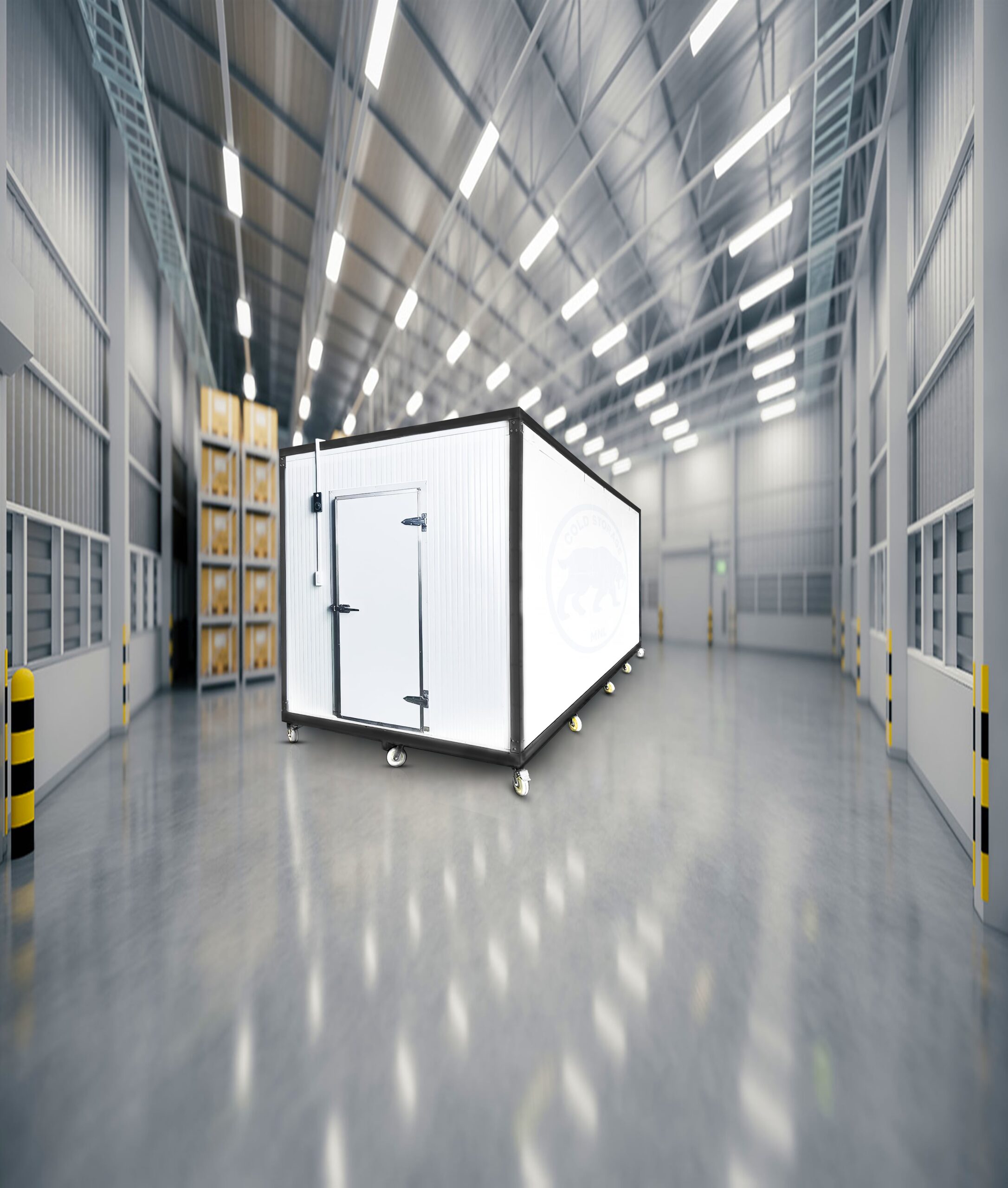 Portable Cold Storage